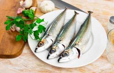 Atlantic mackerel fish served raw to table..
