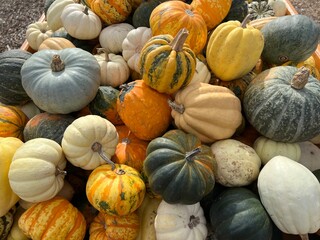 Closeup of a pile of assorted decorative pumpkins at a farmer market. The display captures the rich colors and textures of autumn harvest of perfect imperfect produce.