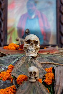A Day of the Dead altar featuring skulls, marigolds, and a portrait of a deceased loved one.