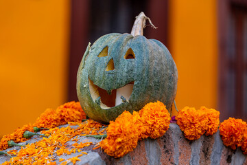 A green pumpkin with a carved face sits on a stone wall, surrounded by bright orange marigolds, likely as part of a Day of the Dead celebration.