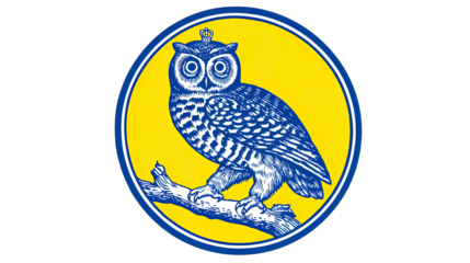 Detailed illustration of owl perched on a branch transparent background