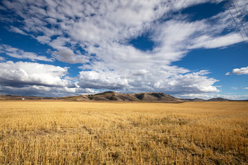 Idaho Landscape