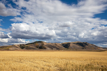 Idaho Landscape