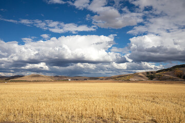 Idaho Landscape