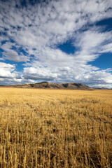 Idaho Landscape