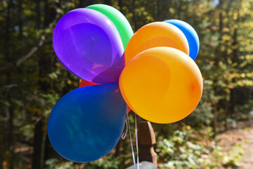 Vibrant Multicolored Party Balloons Floating Outdoors on Sunny Day Celebration © Hello Jess