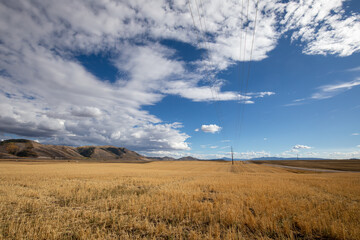 Idaho Landscape