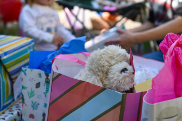 Birthday Presents in Colorful Gift Bags with Stuffed Toy Dog at Celebration