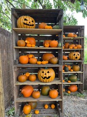 Two racks shelves with carved pumkins of different size at a farm field event. Fall harvest markets, seasonal agriculture, and local farming during the autumn season.