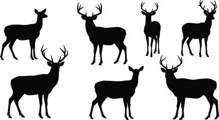 Silhouette deer collection with male and female variations, antler diversity, wildlife poses, zoological illustration, taxonomy reference, nature art