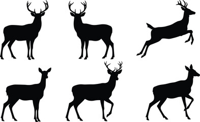 Silhouette deer collection with male and female variations, antler diversity, wildlife poses, zoological illustration, taxonomy reference, nature art