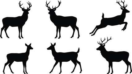 Silhouette deer collection with male and female variations, antler diversity, wildlife poses, zoological illustration, taxonomy reference, nature art