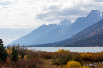 Fototapeta premium Grand Teton National Park