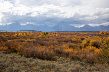 Grand Teton National Park