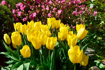 Snapshots of spring time in color. 