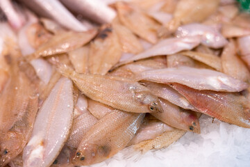 Peled fish in ice on a fish market counter closeup