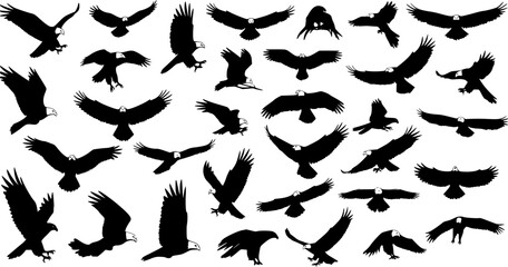 Majestic Bald Eagle Silhouette Collection: A Variety of Flight Poses