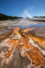 Yellowstone National Park