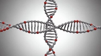 Intertwined DNA Strands Animated Against Gray Background With Red Details - Powered by Adobe