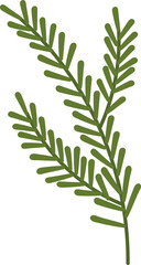 Pine Branch Illustration