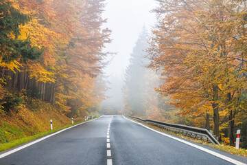 Obraz premium Autumn's golden hues frame a tranquil road inviting journeys into misty landscapes. Experience the season's serene embrace.