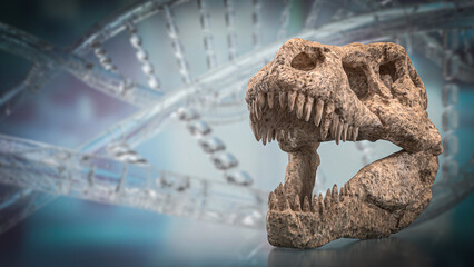 The T rex Skull for Education Or sci concept 3d Rendering.