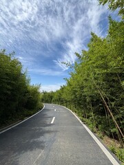 A picturesque path towards the Panda Research Base in Chengdu