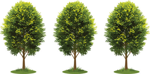 Three lush green cartoon trees with vibrant foliage, isolated on white background, ideal for garden design, eco branding, nature illustrations, and digital art projects