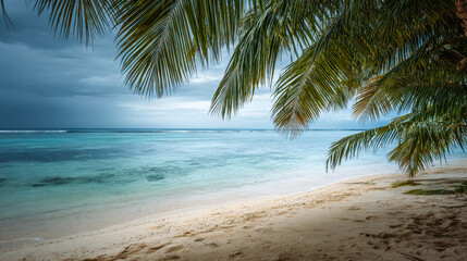 Obraz premium Serene tropical beach with palm trees overlooking calm ocean waters