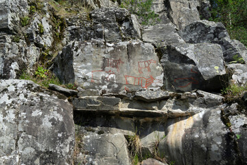 Ancient Elk Petroglyphs Carved into Stone in Drotten Norway