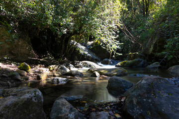 cascada de agua en medio del bosque, entrada de luz del sol entre los árboles