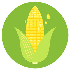 Obraz premium Fresh Sweet Corn Cob with Dripping Drops Illustration in Green Circle