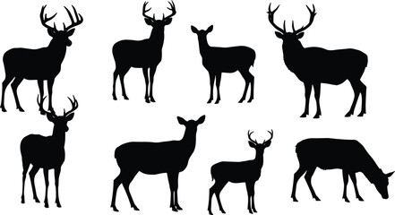 Deer silhouettes collection, male and female profiles, antler and non‑antler variations, wildlife vector art, forest animal icons, hunting design illustration