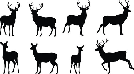 Silhouette of deer and stag, antlered wildlife collection, forest animals, isolated vector illustration, elegant wild deer group design