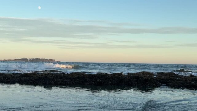 Serene Surf, Seaweed Ledge & Sand Under Moon