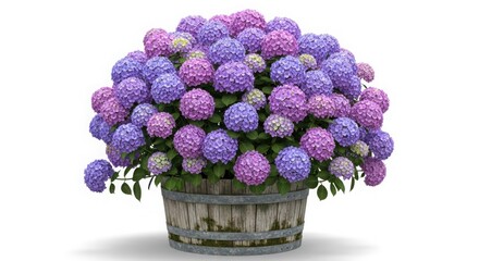 A wooden barrel overflowing with a vibrant arrangement of pink and purple hydrangea flowers against a clean white background.
