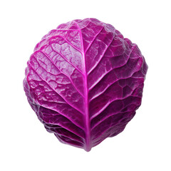Obraz premium Vibrant Purple Cabbage Close-Up, Fresh Organic Vegetable with Textured Leaf Surface