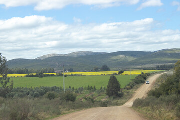Paisaje de  camino rural 