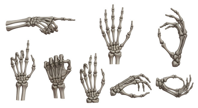 Illustration of skeletal hands in various gestures Isolated on transparent background, png