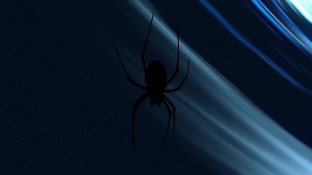 Spider silhouette against blue and black abstract background with animation elements