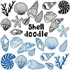 Sea shell collection line art. Doodle various Seashells set. Different shapes. Outline modern style. Summer, vacation, ocean, beach concept.