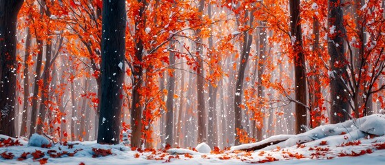 Nature's palette: the fusion of fall warmth with winter's chill. Commercial image. Vibrant autumn leaves blanket the forest as winter's first snow falls. Visual identity. Clean retouch.