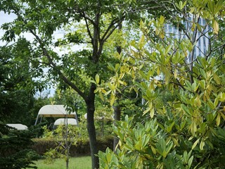 都会の公園の風景