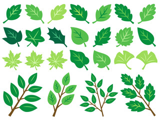 色々な緑の葉っぱと枝のイラストセット