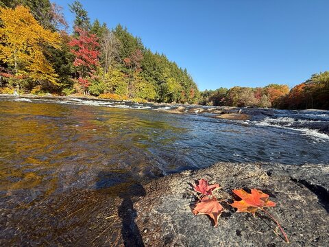 Parc de La Rivi&egrave;re-du-Nord , The Rivi&egrave;re-du-Nord or The River of the North Park in autumn