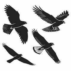 set of vector birds