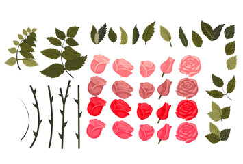 Set of rose elements for your design. Vector illustration isolated on white background.