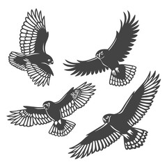 vector illustration of an eagle