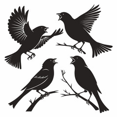 set of silhouettes of birds