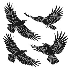 eagle vector illustration
